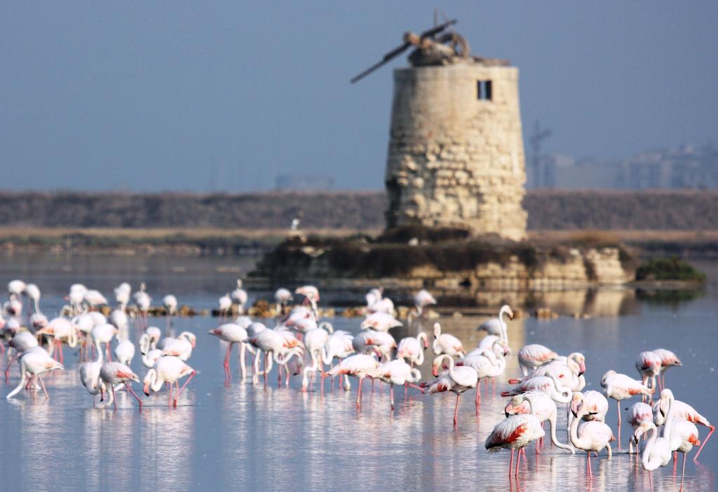 Villa Pia Cornelia Paceco Dış mekan fotoğraf
